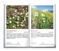 KOMPASS Naturführer Wiesenblumen KOMPASS Naturführer Wiesenblumen